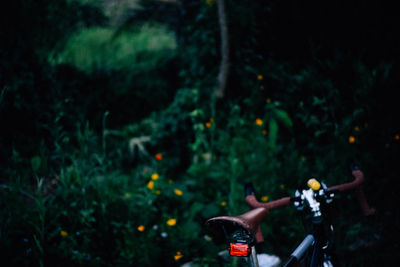 Man riding bicycle on street