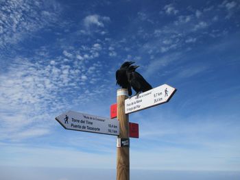 La palma, islas canarias 