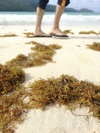 Low section of person on beach