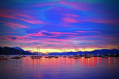 Sailboats moored in marina at sunset