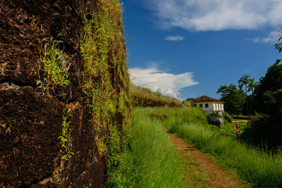 Scenic view of field by trees and houses against sky