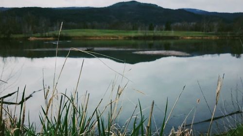 Scenic view of lake by landscape