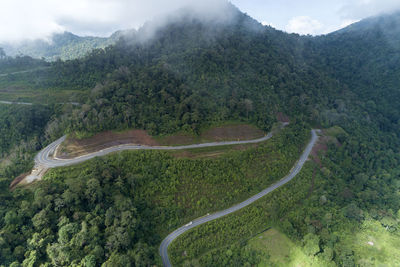 High angle view of winding road amidst trees in forest