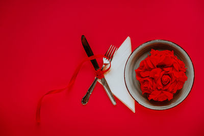 High angle view of red wine against white background