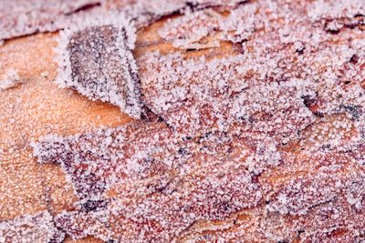 Full frame shot of bread