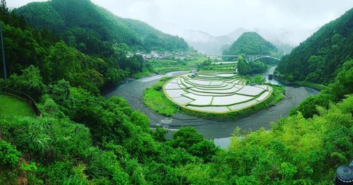 High angle view of trees on landscape