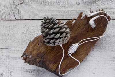 High angle view of pine cones with headphones on wooden table