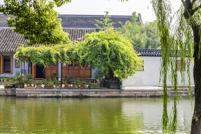 View of trees by lake against building