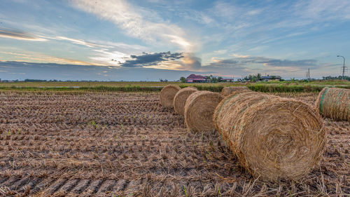 Scenic view of field against cloudy sky