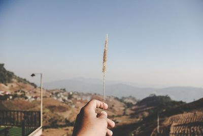 Cropped hand holding dried plant against clear sky