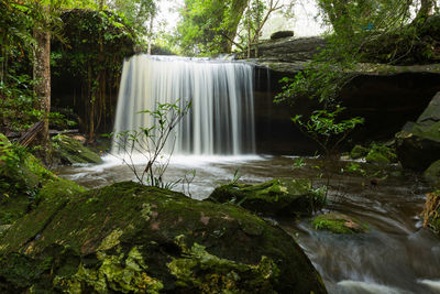 Scenic view of waterfall in forest