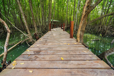 View of wooden footbridge in forest