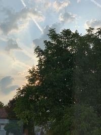 Low angle view of trees against sky during sunset