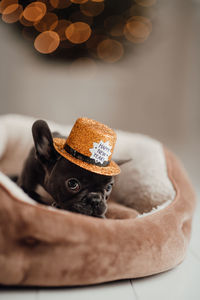 Close-up of hat