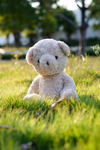 Teddy bear on grassy field