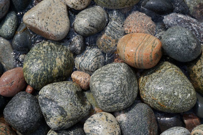Colorful pebbles on the beach