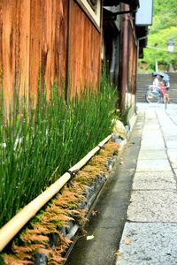 Rear view of man on footpath by building