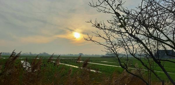 Scenic view of field against sky during sunset