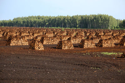 View of landscape against clear sky