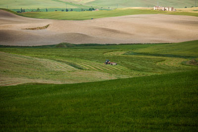 Scenic view of agricultural field