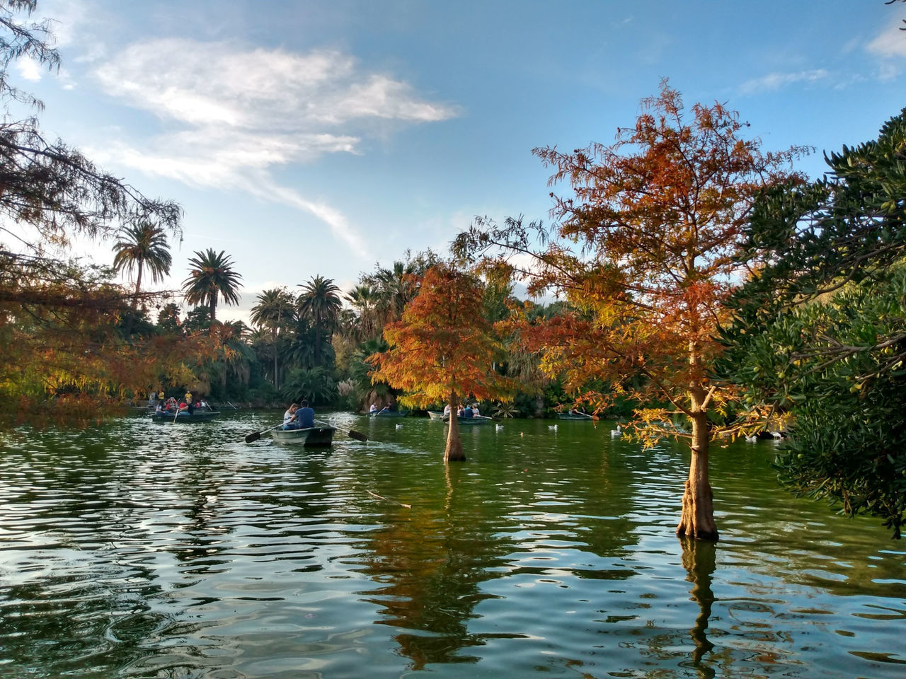 Dicovery Cities and Districs by Khat_44