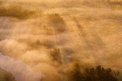 Aerial view of trees during sunset in foggy weather