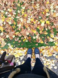 Low section of person standing on ground