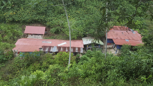 High angle view of trees and plants on field