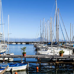 Sailboats moored at harbor