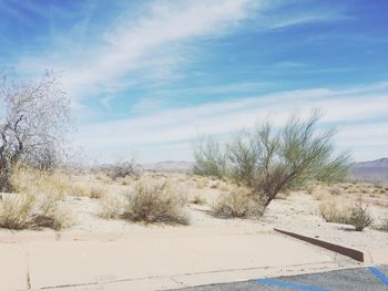 Scenic view of desert against sky