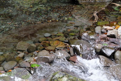 Rocks in river