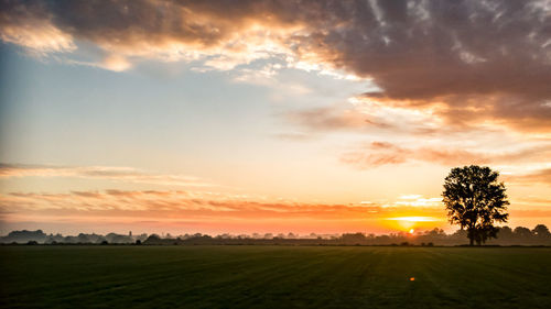 Scenic view of field against sky during sunset