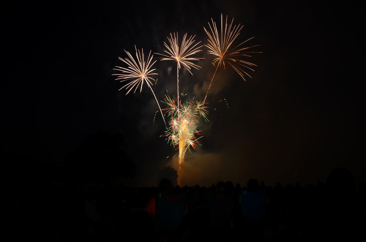 FIREWORKS DISPLAY AT NIGHT