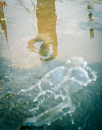 Close-up of turtle swimming in water