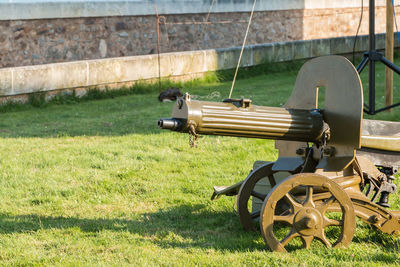 Horse cart on field