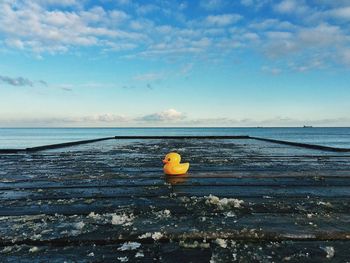 Rubber duck on frozen pier by sea against sky