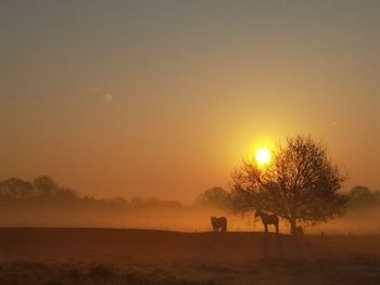 Silhouette trees on field against sky during sunset