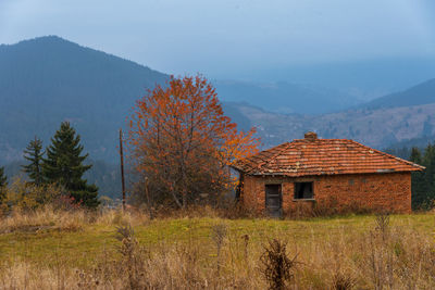 Autumn landscape. misty sunrise in rodopi, bulgaria.