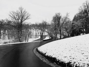 Road passing through bare trees