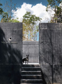 View of people on building wall against sky