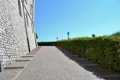 Street amidst trees against clear blue sky