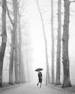 Woman walking along bare trees