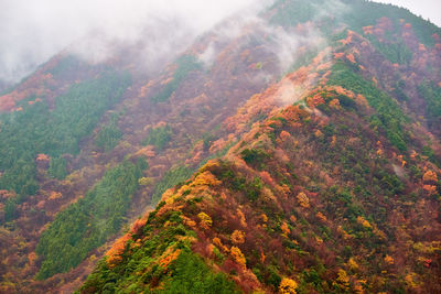 High angle view of mountain landscape with fall color