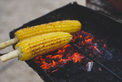 Cropped hand holding corn