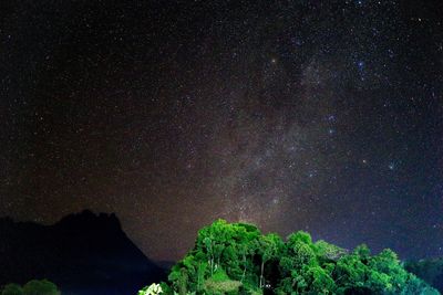 Low angle view of trees against sky at night