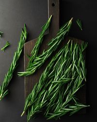 Directly above shot of fresh green leaves on table against black background