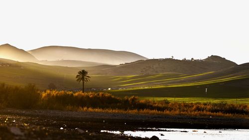 Scenic view of landscape against clear sky