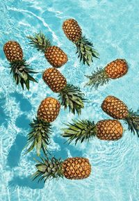 High angle view of fruits against blue background