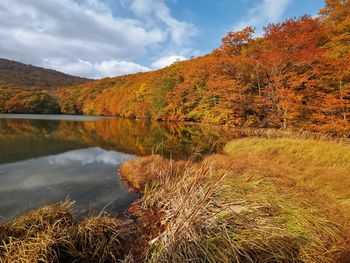 Scenic view of lake by trees against sky during autumn