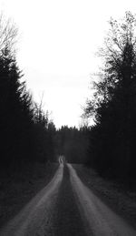 Empty road along trees